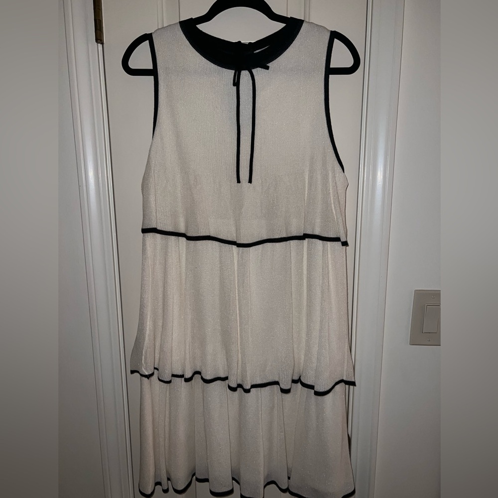 BRAND NEW Zara Dress!